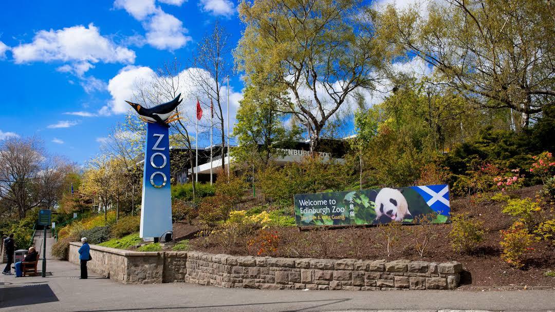 Zoo Edinburgh